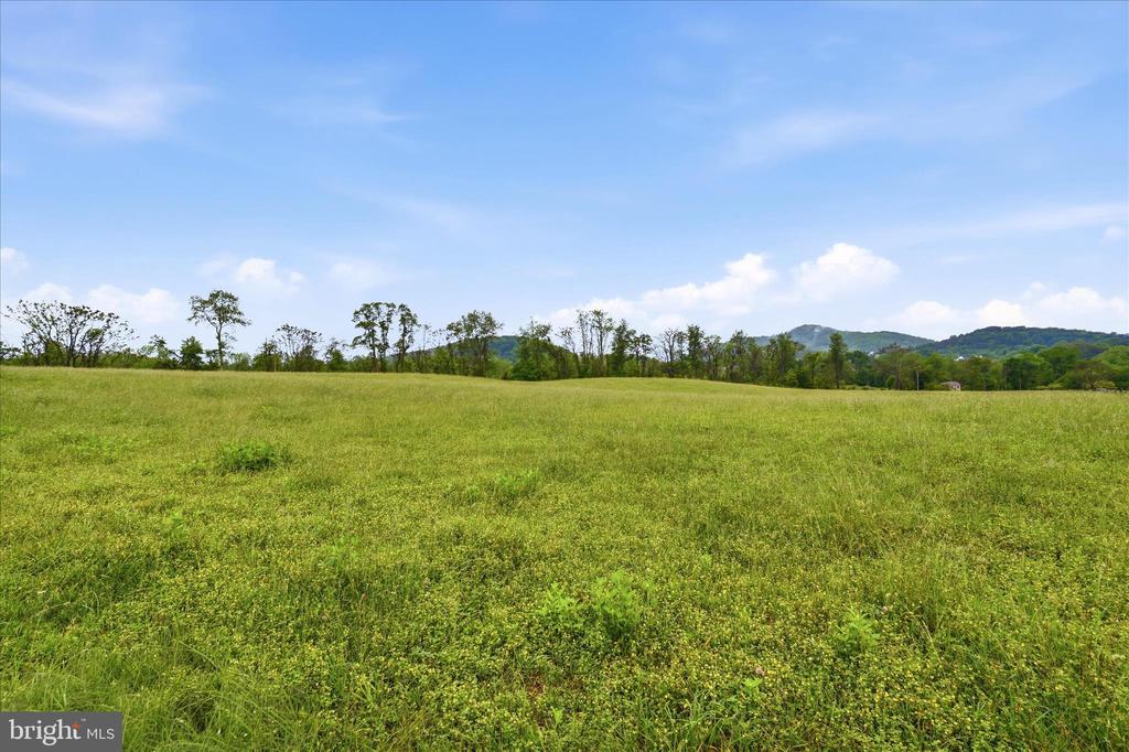 Land in BENTONVILLE 5