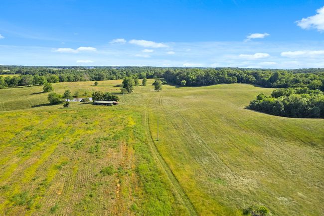 0 Happy Hills Acre Rd, Home with 0 bedrooms, 0 bathrooms and null parking in Woodlawn TN | Image 21