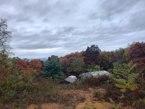 1389 Neddy Mountain Rd, Del Rio, TN, 37727-3054 | Card Image