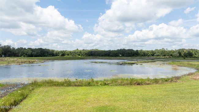 111 Penny Acres Ln, House other with 3 bedrooms, 2 bathrooms and null parking in Welaka FL | Image 45