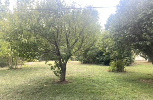 218 Cedar Ave, Linden, TN, 37096-3504 | Card Image