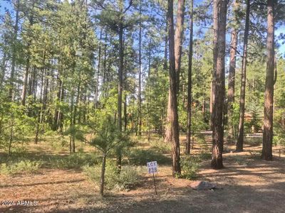 38 - 8508 Skywood Drive, Home with 0 bedrooms, 0 bathrooms and null parking in Pinetop AZ | Image 2