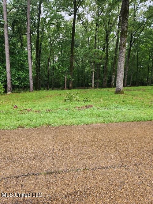 Lot 10 Country Squire Rd, Natchez, MS, 39120-9330 | Card Image