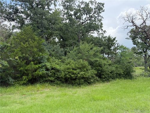 0 Lakewood Dr Lots 96&97, Marquez, TX, 77865 | Card Image