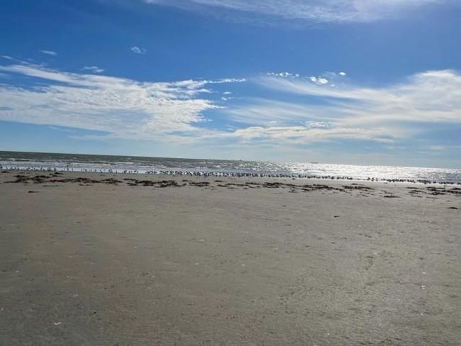 Serene East Beach awaits just steps from your door. | Image 30