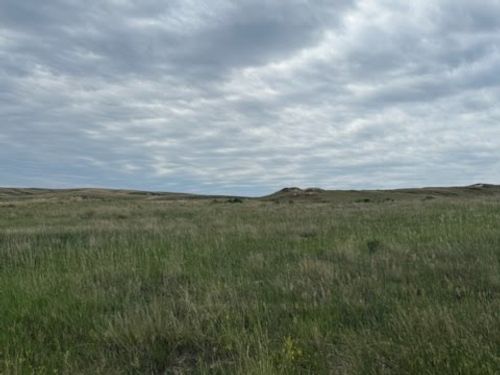 NKA Private Road, Sidney, MT, 59270 | Card Image