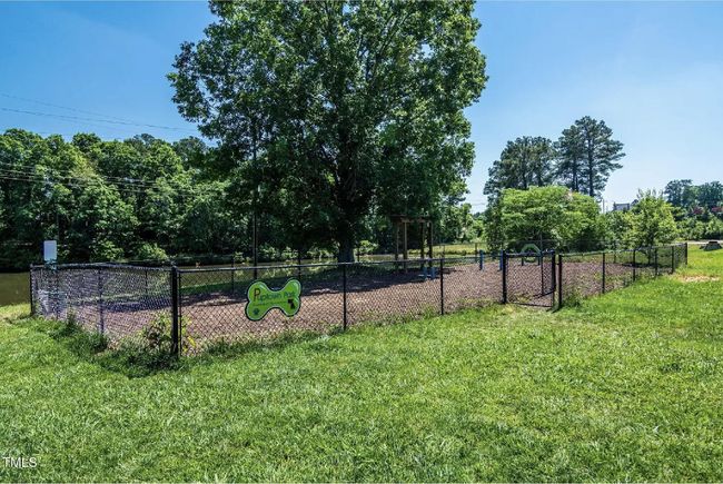 Dog Park | Image 21