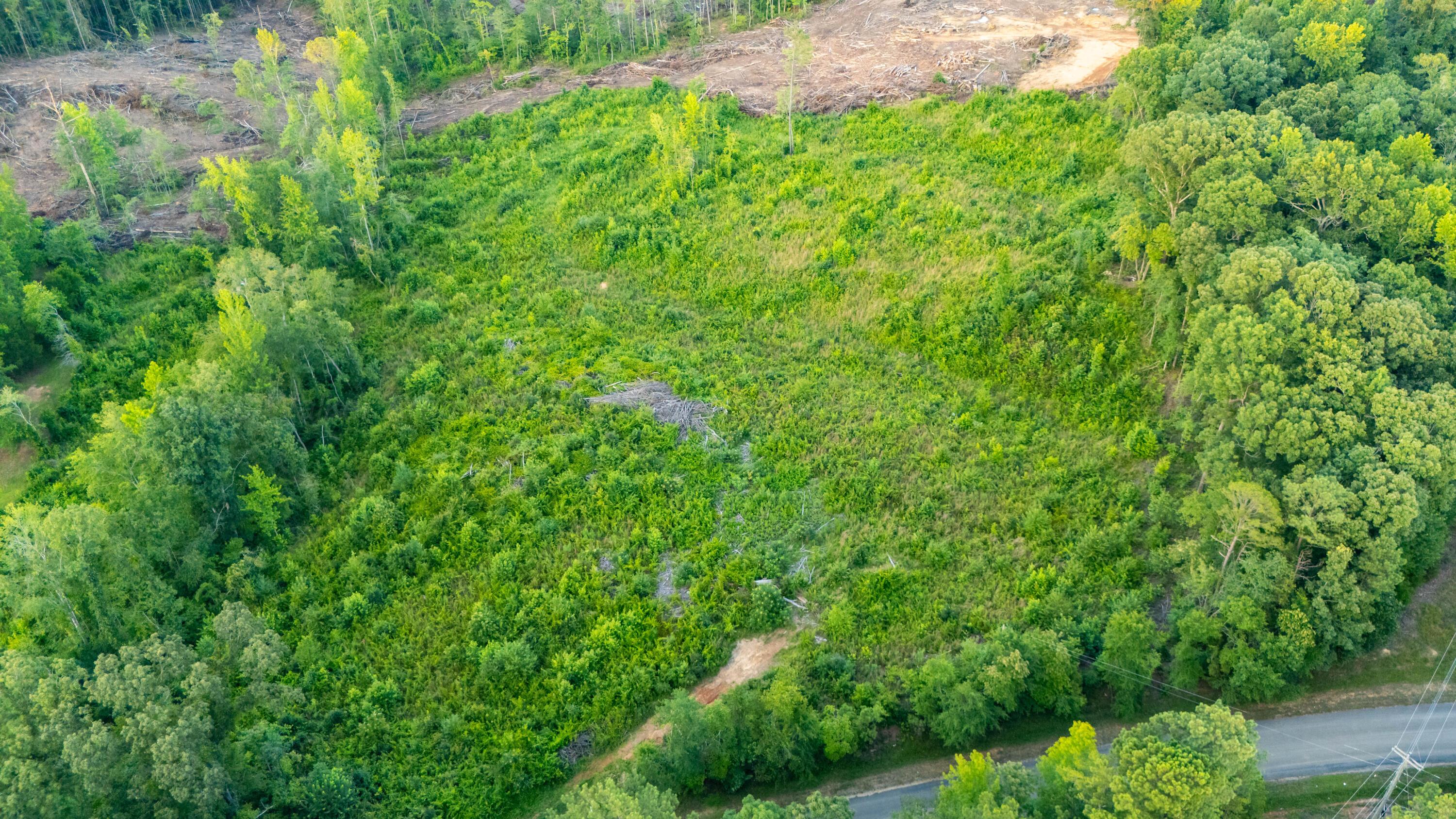 Land in Guin 4