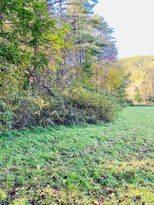 00 Tapoco Rd, Robbinsville, NC, 28771 | Card Image