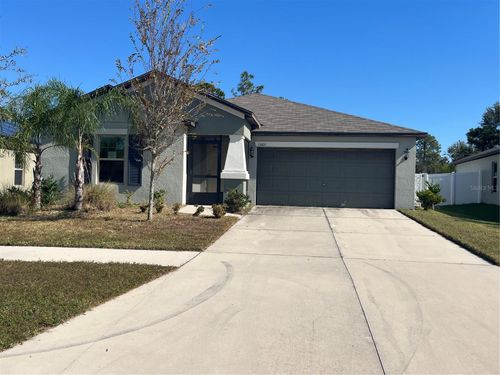13403 Willow Bluestar Loop, RIVERVIEW, FL, 33579-6607 | Card Image
