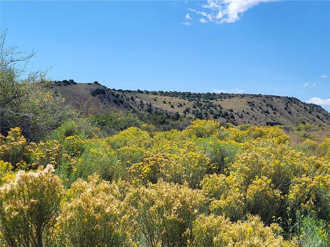 000 La Jara Creek Road, Home with 0 bedrooms, 0 bathrooms and null parking in La Jara CO | Image 14