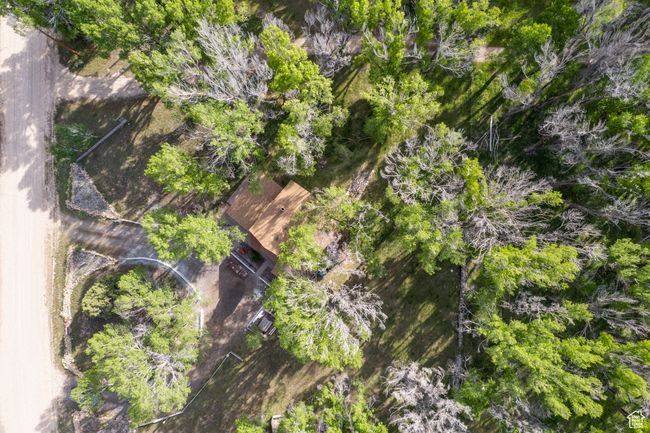 Bird's eye view | Image 48