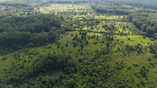 TBD County Road 14, Littlefork, MN, 56653 | Card Image