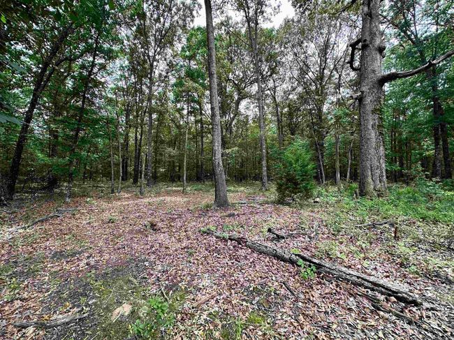 000 Oak Dale Rd, Home with 0 bedrooms, 0 bathrooms and null parking in Lonoke AR | Image 33