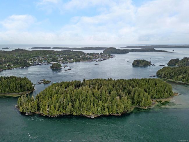 0 Neilson Island, House other with 4 bedrooms, 3 bathrooms and null parking in Tofino BC | Image 77
