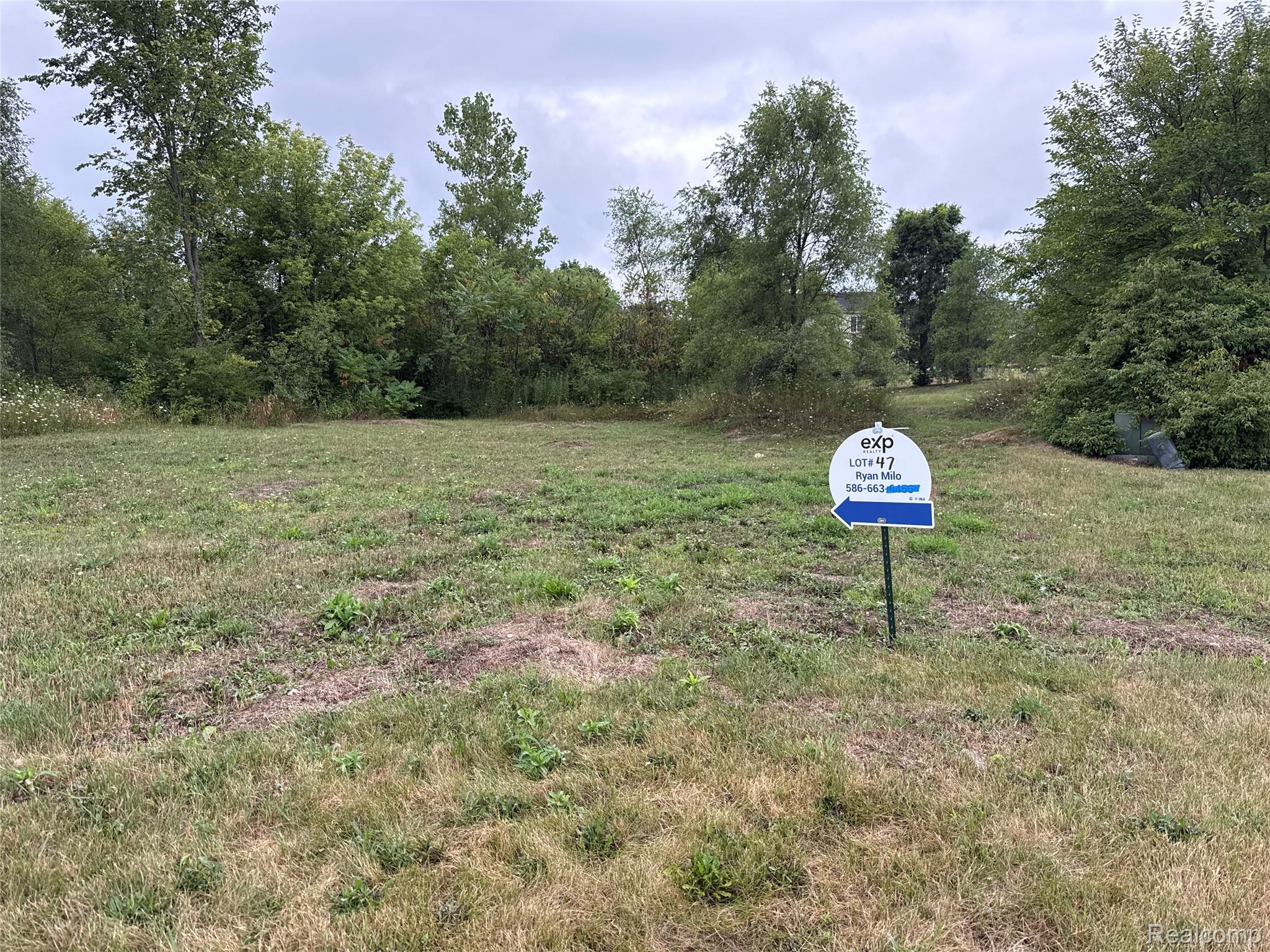Land in Augusta Charter Township 2