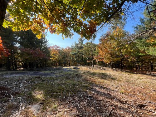 13 Ridgeway Dr, Nobel, ON, P0G1G0 | Card Image