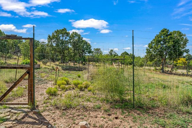 Fully fenced orchard with 22 established fruit trees | Image 34
