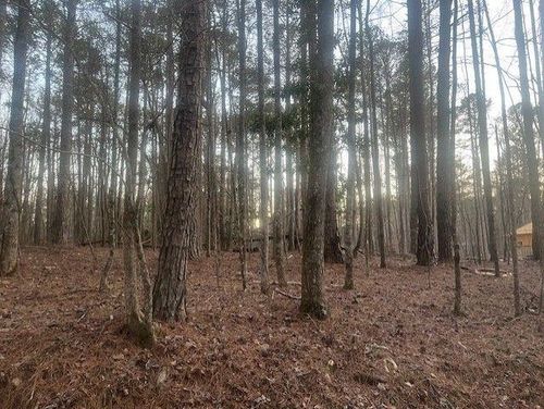0 Pine Tree Dr, Fayetteville, GA, 30214 | Card Image