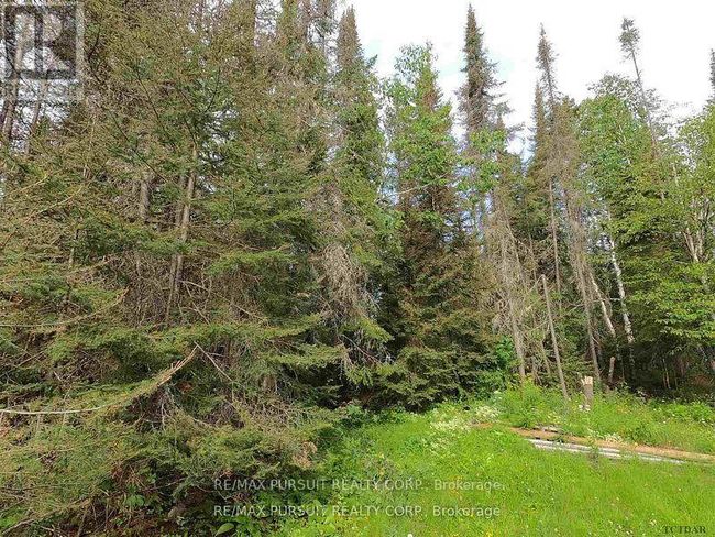 PCL 6 Island A1, House other with 4 bedrooms, 0 bathrooms and null parking in Timiskaming Remote Area ON | Image 25
