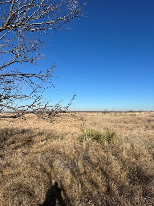 000 Round Top Rd, Snyder, TX, 79549 | Card Image