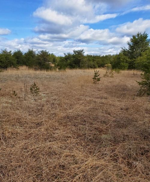 2282 E 56th St, Chase, MI, 49623-8616 | Card Image