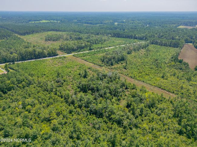 949 General Howe Hwy Road, Home with 0 bedrooms, 0 bathrooms and null parking in Riegelwood NC | Image 8