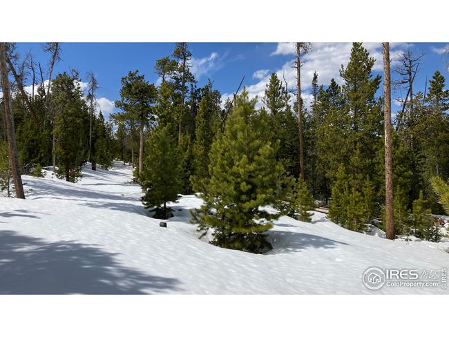 1836 Shoshoni Dr, Home with 0 bedrooms, 0 bathrooms and null parking in Red Feather Lakes CO | Image 15