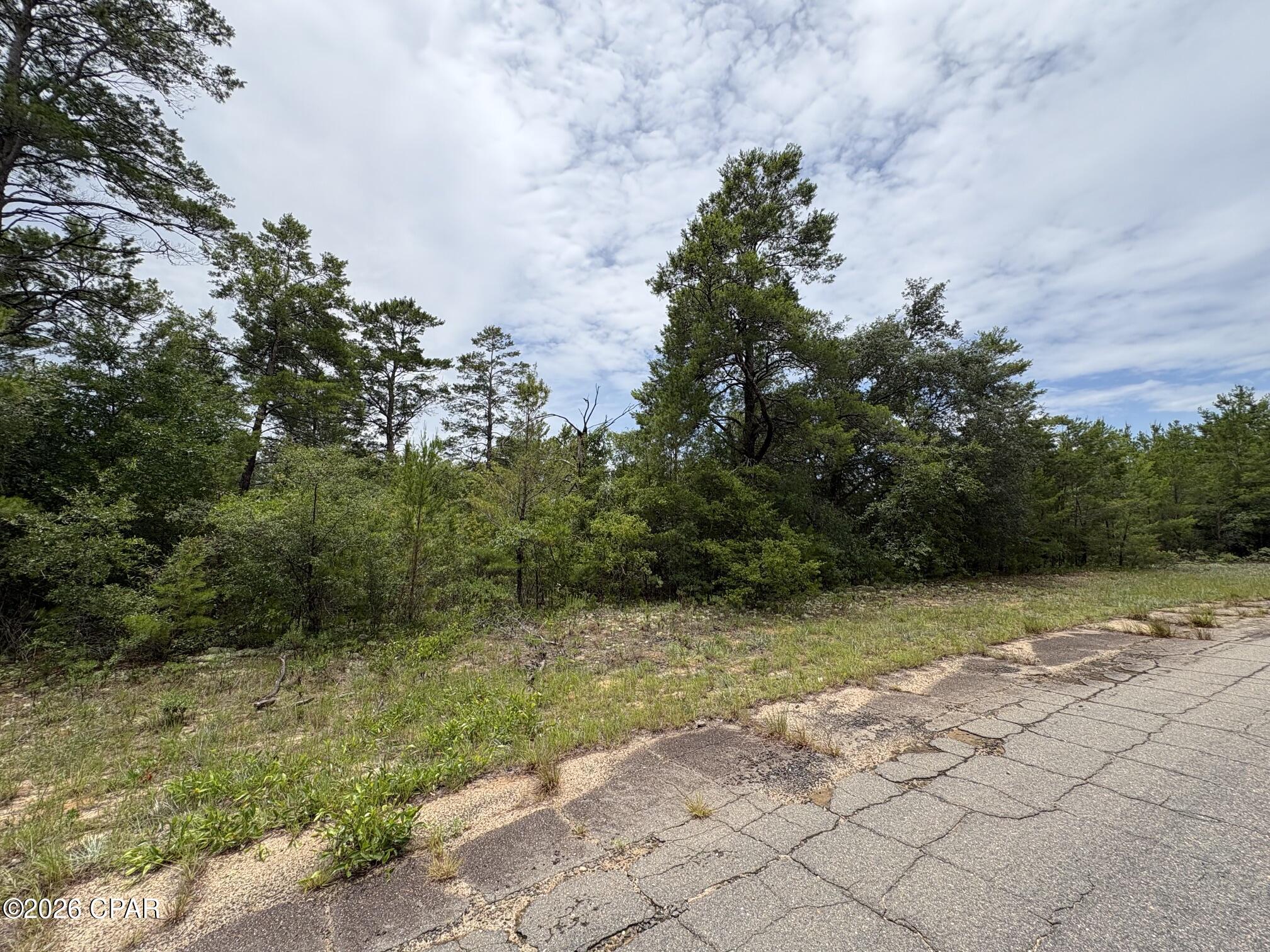 Land in Chipley
