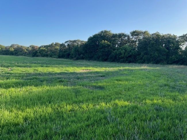 2051 E Fm 583, Home with 0 bedrooms, 0 bathrooms and null parking in May TX | Image 15