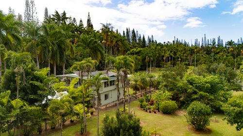 29-3707 Kaana Pl, HAKALAU, HI, 96710 | Card Image