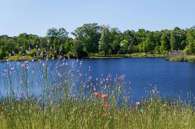 7 Lakeside Dr, Home with 0 bedrooms, 0 bathrooms and null parking in Montalba TX | Image 6