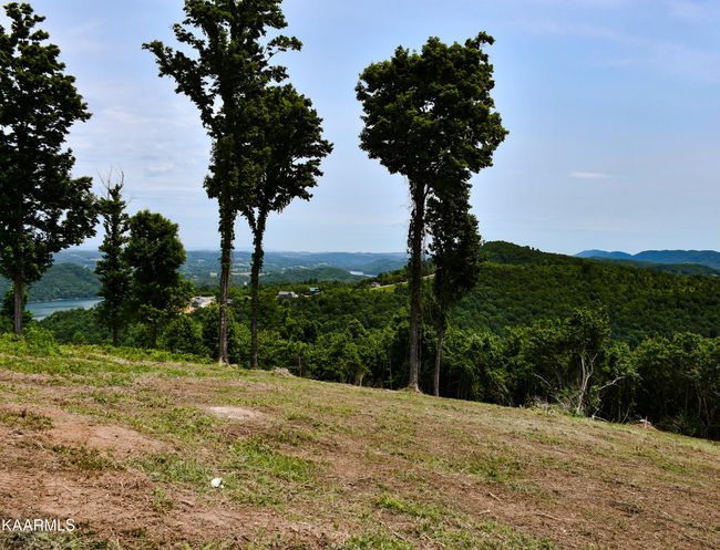 18 Crown Hill Ln, Home with 0 bedrooms, 0 bathrooms and null parking in Maynardville TN | Image 4