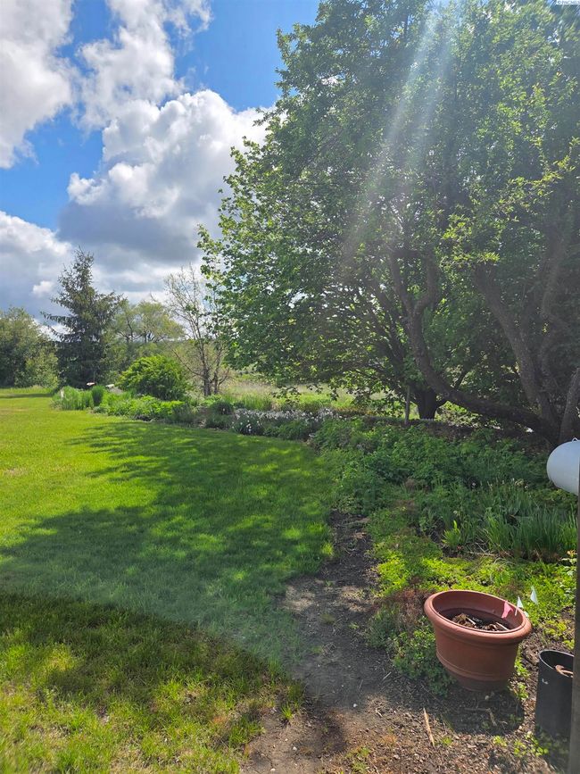 6302 Sand Rd, Home with 4 bedrooms, 3 bathrooms and null parking in Pullman WA | Image 19