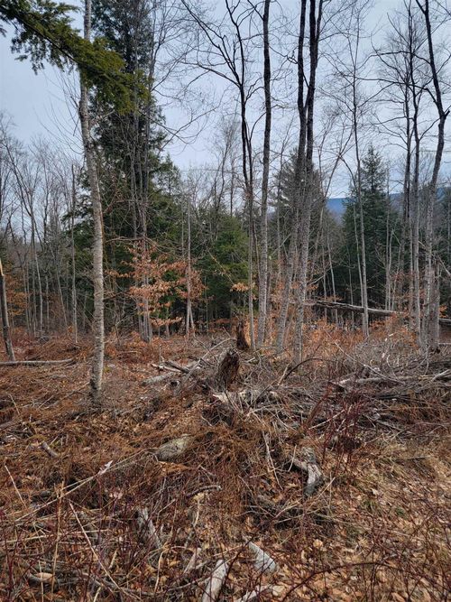 80 Crossover Rd, Bennington, VT, 05201-8223 | Card Image