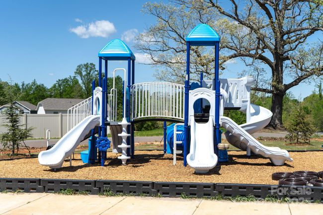 Playground | Image 16