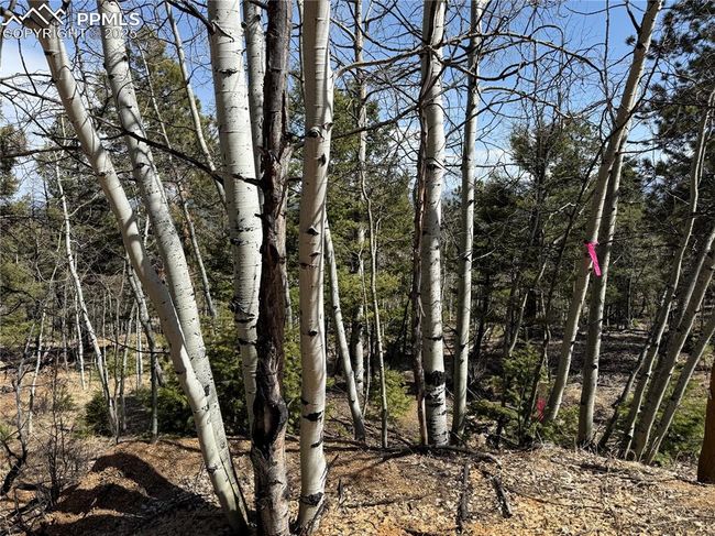 242 Apache Creek Dr, Home with 0 bedrooms, 0 bathrooms and null parking in FLORISSANT CO | Image 4