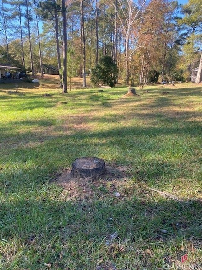 0 Woodland Ct, Home with 0 bedrooms, 0 bathrooms and null parking in Union Point GA | Image 14
