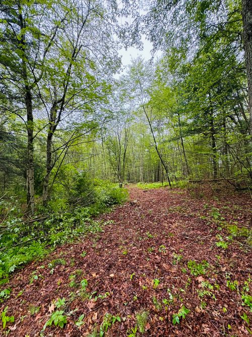 18 Ledge Hill Rd, Sterling, CT, 06377-2001 | Card Image