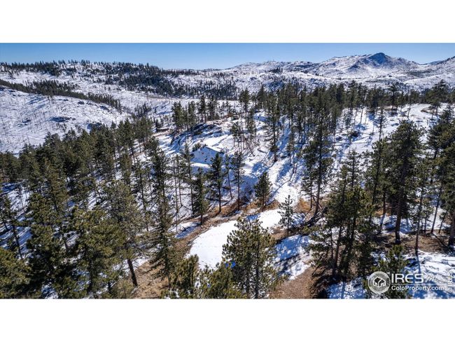 0 Stratton Park Rd, Home with 0 bedrooms, 0 bathrooms and null parking in Bellvue CO | Image 15