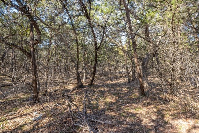308 Ridge Oak Dr, Home with 0 bedrooms, 0 bathrooms and null parking in Wimberley TX | Image 16
