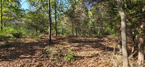 0 Hinchey Rd, Pinckney, MI, 48169 | Card Image