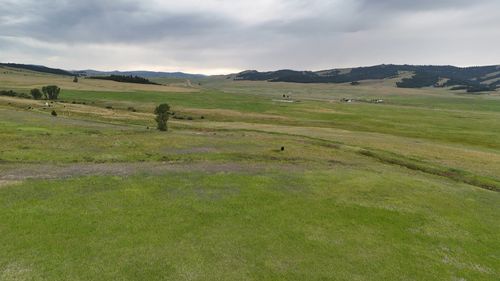 Nhn Meadow View Dr, Philipsburg, MT, 59858 | Card Image