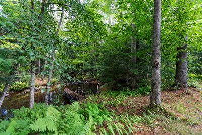 15 Forbes Mountain Road, House other with 3 bedrooms, 1 bathrooms and null parking in Danbury NH | Image 2