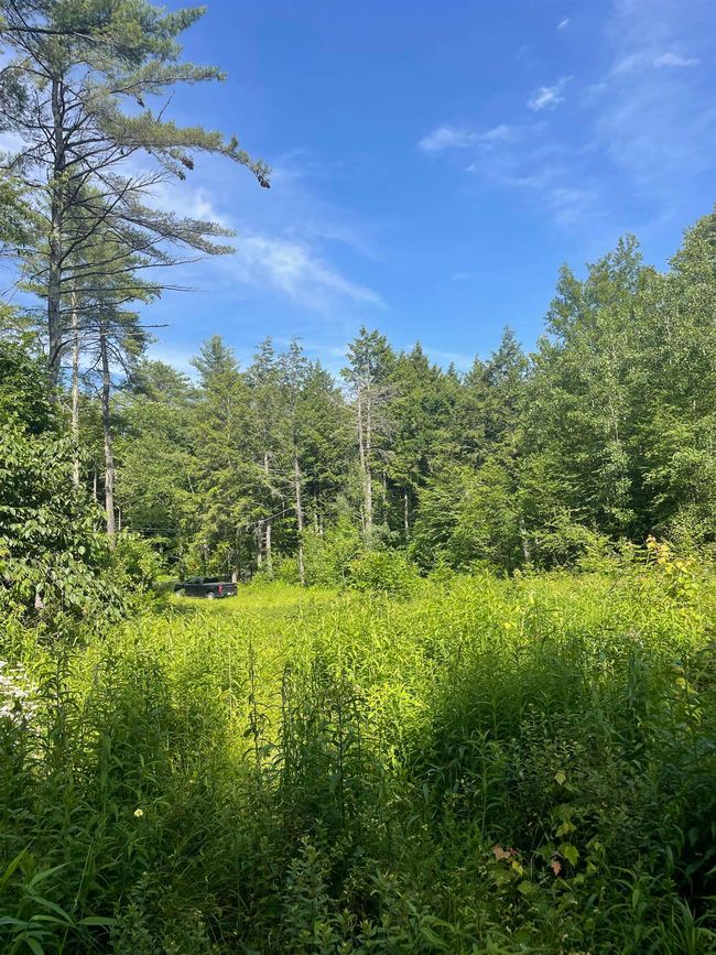 63 New Boston Rd, Home with 0 bedrooms, 0 bathrooms and null parking in Francestown NH | Image 13