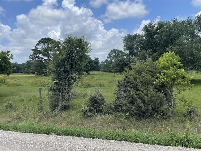 0 Davis Bend Rd, Home with 0 bedrooms, 0 bathrooms and null parking in Alvin TX | Image 18