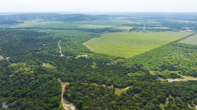 Drone / aerial view of a forest | Image 34