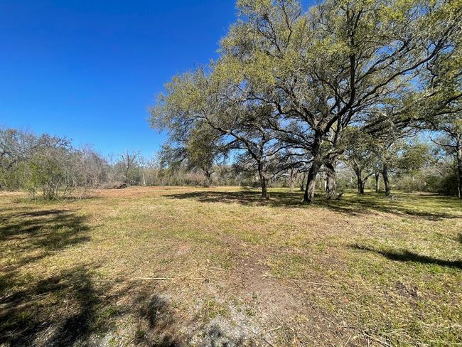 3531 County Road 348, Home with 0 bedrooms, 0 bathrooms and null parking in Brazoria TX | Image 4