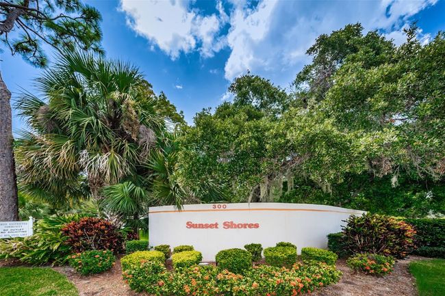 APT-200J - 300 S Florida Ave, Condo with 2 bedrooms, 2 bathrooms and null parking in TARPON SPRINGS FL | Image 62