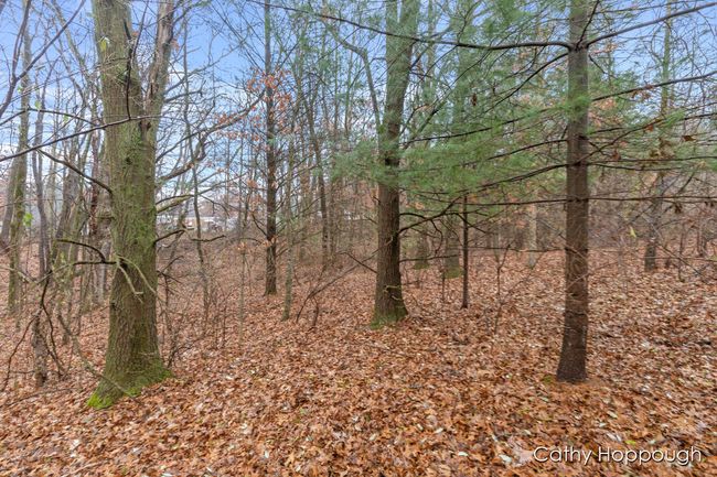 PARCEL-1 - V/L W Snows Lake Road, Home with 0 bedrooms, 0 bathrooms and null parking in Fenwick MI | Image 19